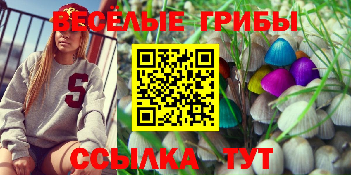 Карталы  Псилоцибиновые грибы Magic Shrooms  Вход с VPN 