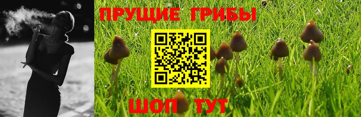 Псилоцибиновые грибы Magic Shrooms Карталы